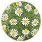 Steamcream Chamomile 75g
