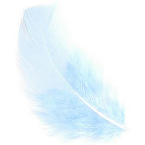 Image of Feather Petals - Pale Blue