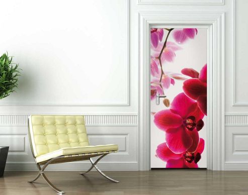 Image of 1wall Trailing Pink Orchid Door Mural