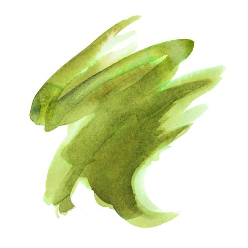 Image of Brusho Colours Olive Green Small