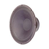 300mm (12In) 250W General Purpose Power Speaker