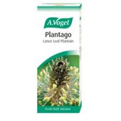 A. Vogel Plantago lanceolota 50ml Liquid