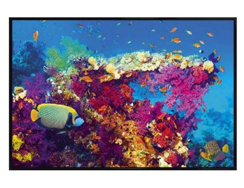 Image of Gloss Black Framed Coral Wonderland Poster