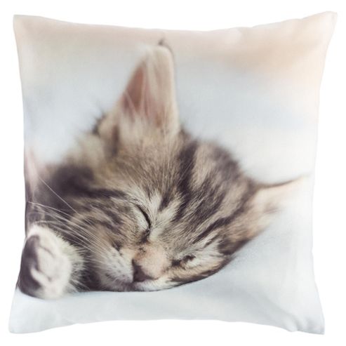 Image of Novelty Cat Cushion