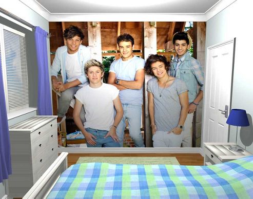 Image of 1wall One Direction Barn Wall Mural