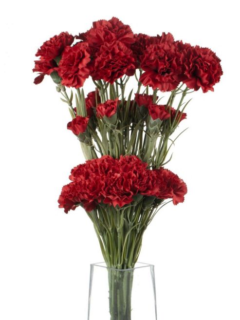 Image of Artificial 70cm Single Stem Multi Headed Dark Red Carnations X 12