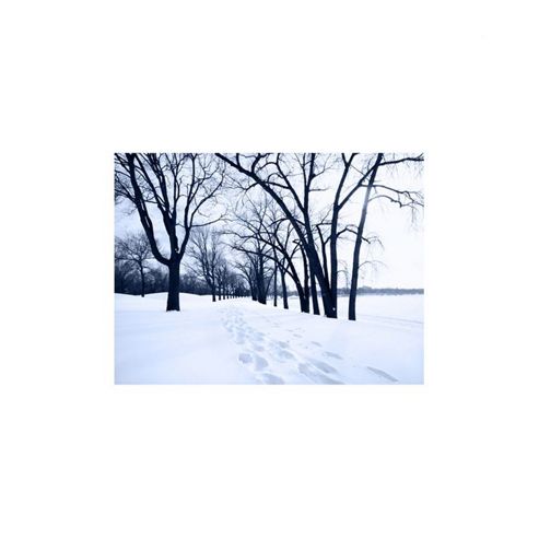 Image of Pharmore Ltd Deep Footprints In Snow Between Trees Wall Art - 60cm X 90cm
