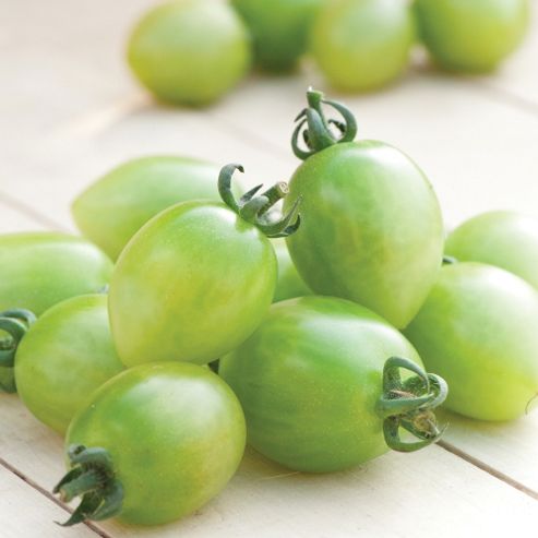 Image of Tomato 'green Envy' F1 Hybrid - 1 Packet (8 Tomato Seeds)