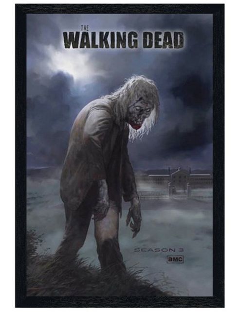 Image of The Walking Dead Black Wooden Framed Flesh Eating Walker! Poster
