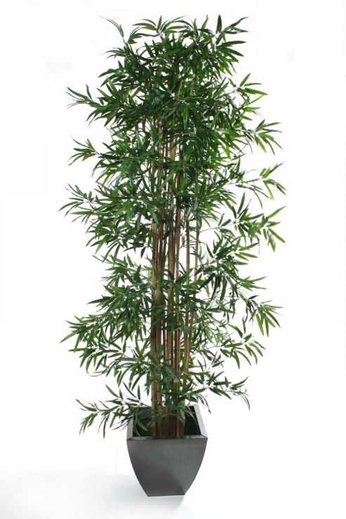 Image of Artificial 8ft Japanese Bamboo Tree