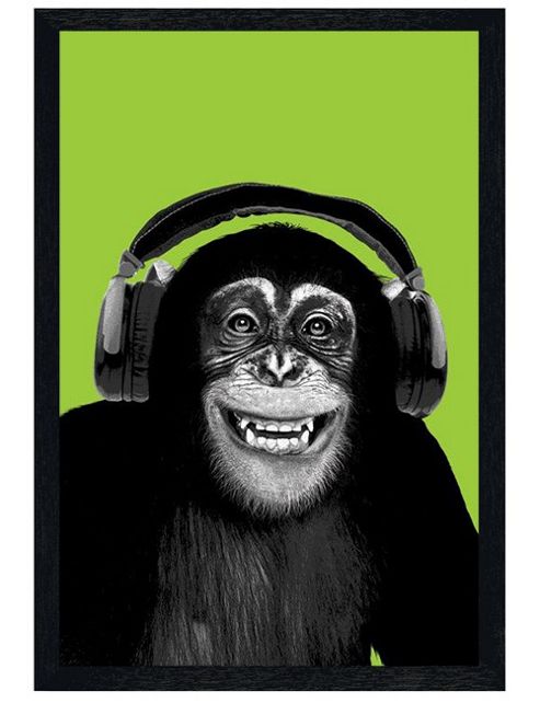 Image of Chimp In Headphones Black Wooden Framed Chimpanzee Boogie Poster