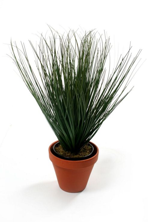Image of Artificial 30cm Onion Grass