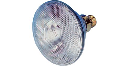 Image of Par38 Economy Floodlamp
