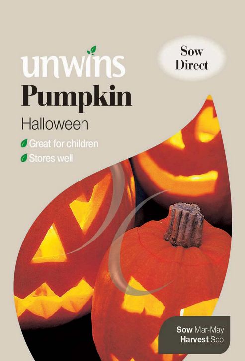 Image of Pumpkin Halloween