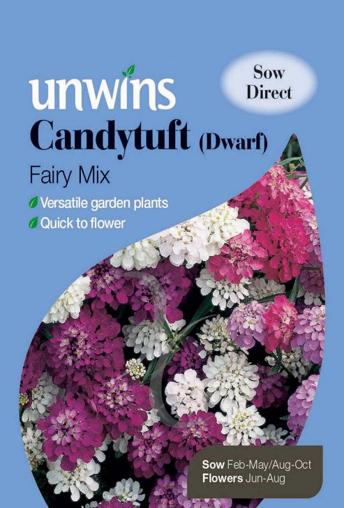 Image of Candytuft Dwarf Fairy Mixed