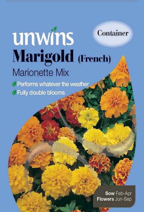 Image of Marigold French Marionette Mixed