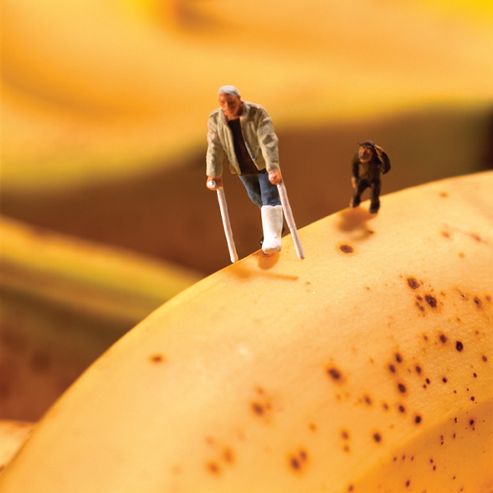 Image of Holy Mackerel Bananas Walking Greetings Card