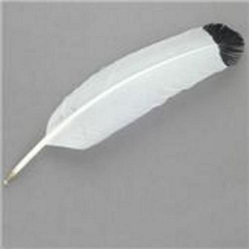 Image of Imitation Eagle Feathers 4pk
