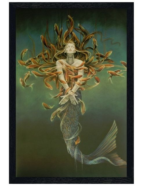 Image of Sheila Wolk Black Wooden Framed Metamorphosis Poster