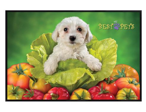 Image of My Best Pets Gloss Black Framed Terrier In Trouble Poster