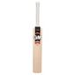 Gunn & Moore Epic 101 Kashmir Cricket Bat - Adults