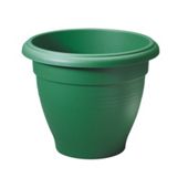 Stewart 2012019 Palladian Plant. Green 30X24.5