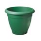 Stewart 2012019 Palladian Plant. Green 30X24.5