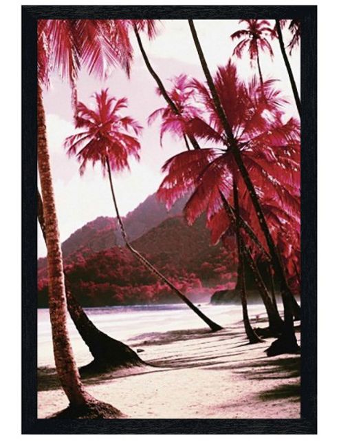 Image of Black Wooden Framed Red Palm Trees Poster