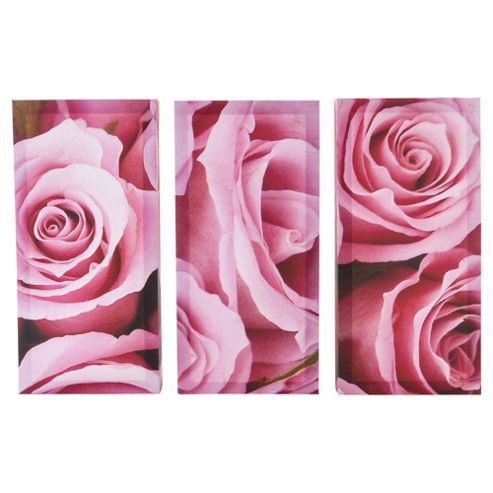 Image of Rose Canvases Set Of 3 50 X 37cm