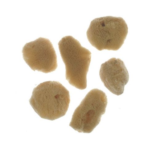 Image of Royal Sml Silk Sponge Set 6 Pk