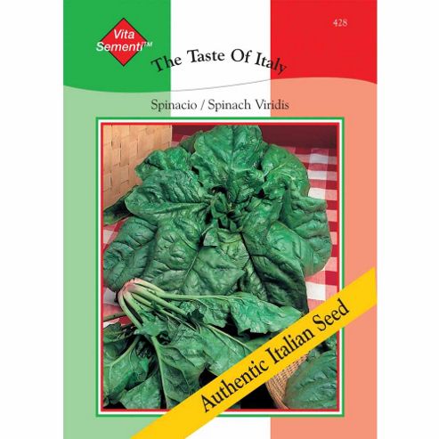 Image of Spinach 'viridis' - Vita Sementi&reg; Italian Seeds - 1 Packet (1200 Spinach Seeds)