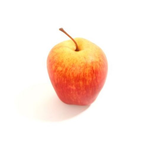 Image of Artificial Gala Apple