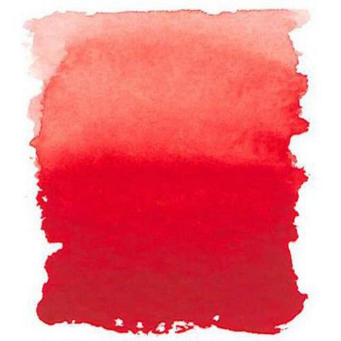 Image of 8ml Aquafine Scarlet Lake