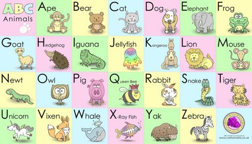 Image of Animal Alphabet Cartoons Canvass