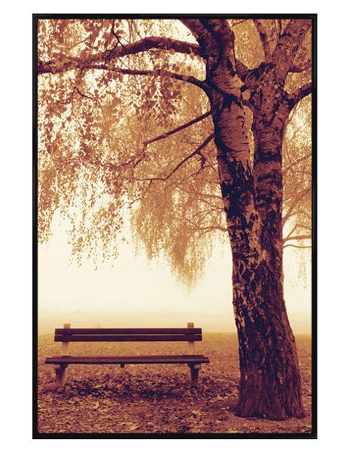 Image of Gloss Black Framed Park Bench In Autumn Poster