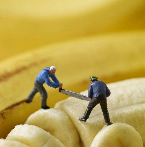 Image of Holy Mackerel Banana Splitters Greetings Card