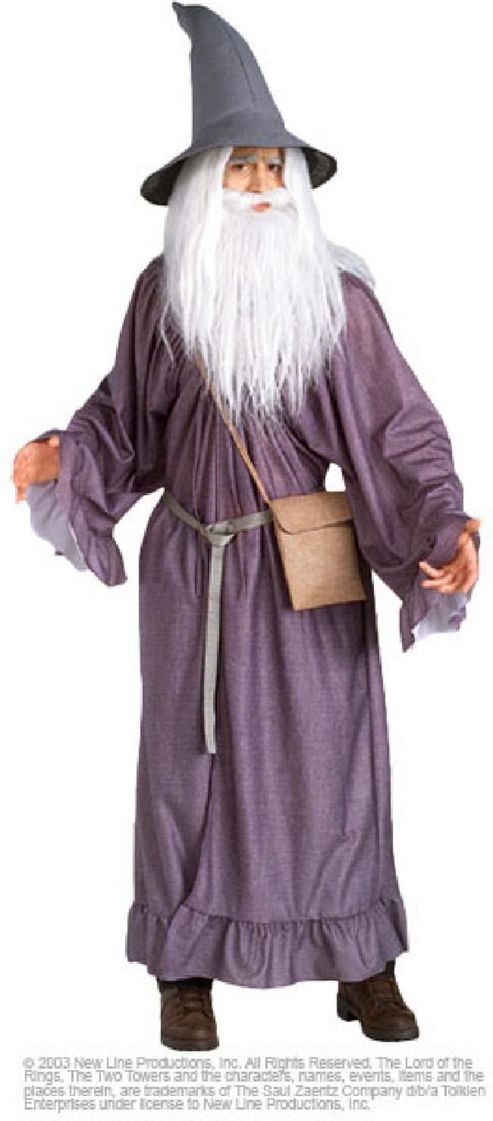 Image of Lord Of The Rings Gandalf - Adult Costume Size: 38-44