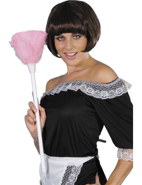 Image of Feather Duster