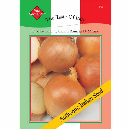 Image of Onion 'ramata Di Milano' - Vita Sementi&reg; Italian Seeds - 1 Packet (1400 Onion Seeds)