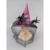 Witch Hat Fancy Purple