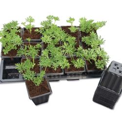 Square Pots & Trays - 20 refill pots