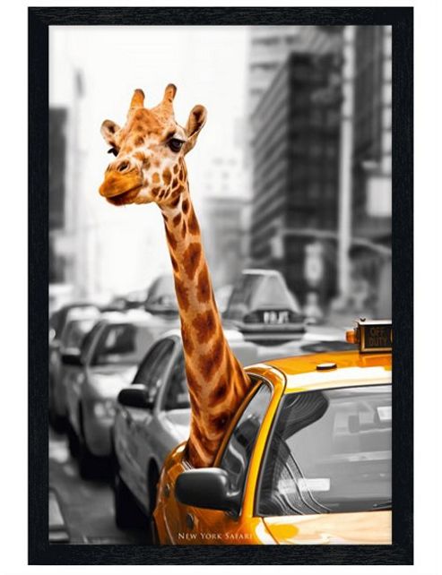 Image of Black Wooden Framed New York Safari Poster