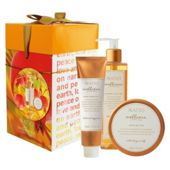 Natio Wellness Rejoice