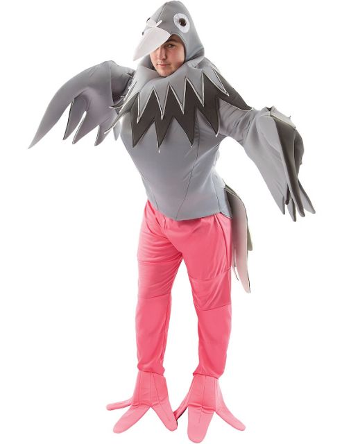 Image of Pigeon Costume