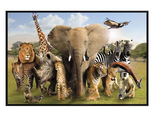Image of Wild Animals Gloss Black Framed Wildlife Harmony Poster