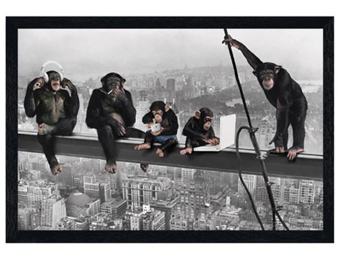 Image of Men On A Girder Parody Black Wooden Framed Chimps On A Girder Poster
