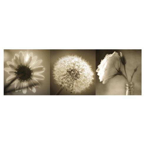 Image of Floral Triptych canvas, Set Of Three 20x60cm