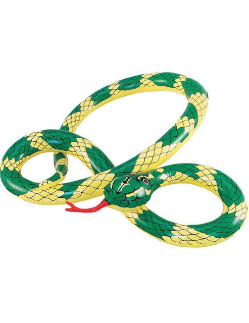 Image of Inflatable Snake