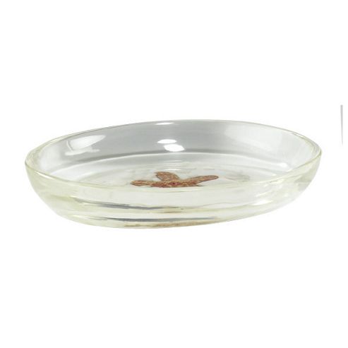 Image of Sanwood Shell Soap Dish In Transparent