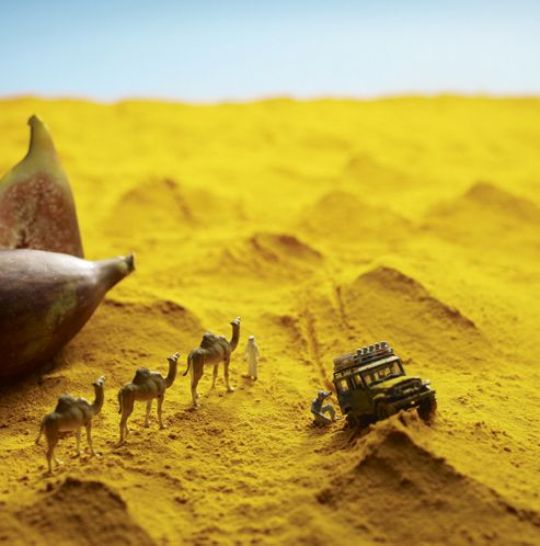 Image of Holy Mackerel Spice Route Greetings Card